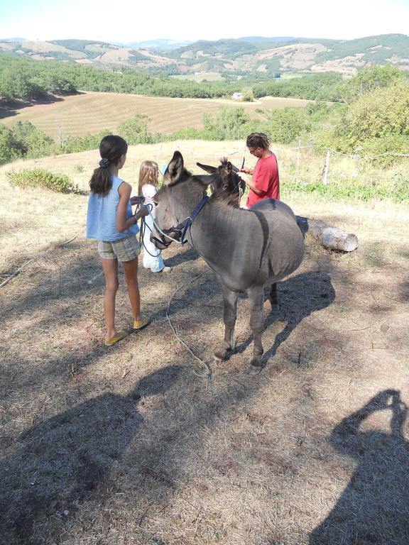 Gite Des Monts Saint-Izaire Ngoại thất bức ảnh