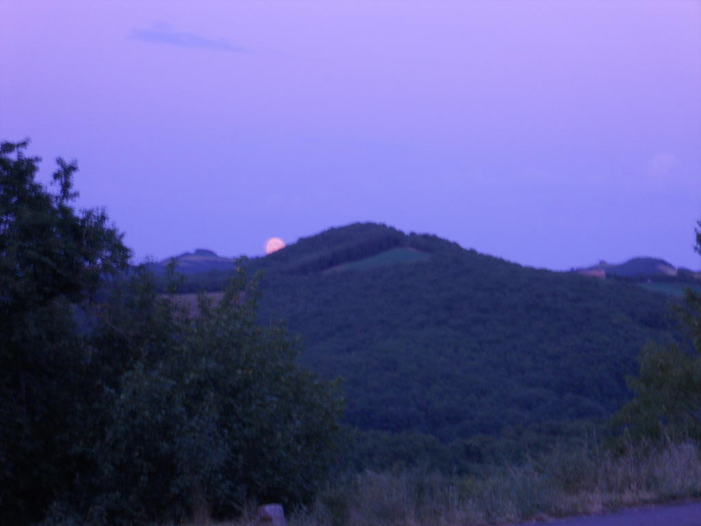 Gite Des Monts Saint-Izaire Ngoại thất bức ảnh